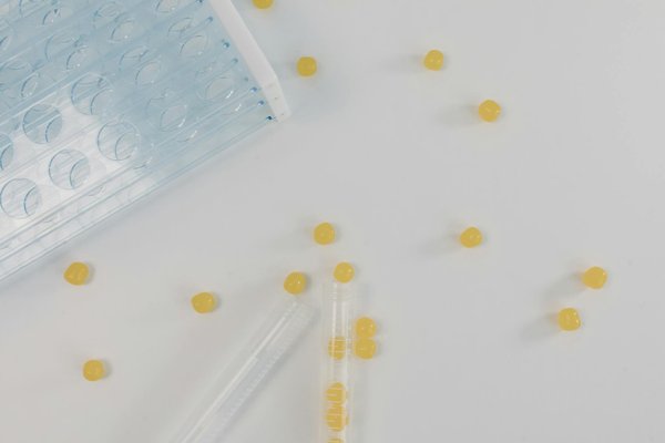 Suppléments naturels pour perdre du poids : mythe ou réalité?