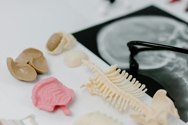 Les meilleurs exercices de yoga pour les femmes enceintes