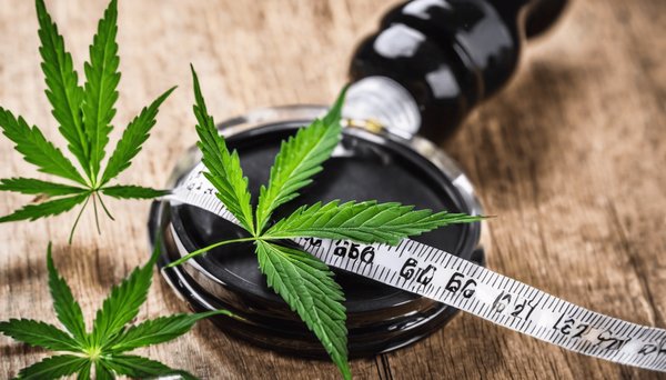 Cbd et gestion du poids : stratégies efficaces à explorer